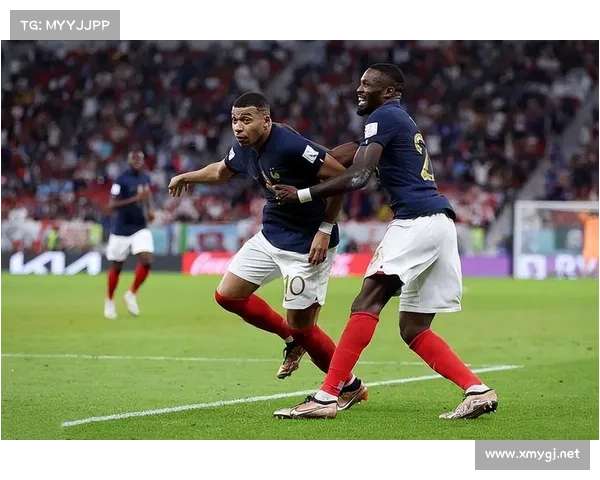 2023法国对波兰比赛关键数据揭秘与赛况分析